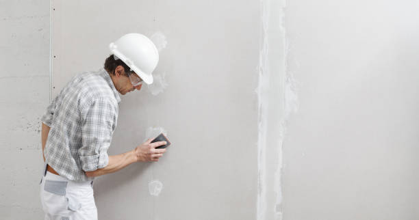 Best Drywall Sanding and Smoothing  in East Milton, FL